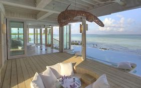 โซเนวา จานี