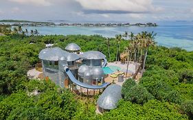 โซเนวา จานี